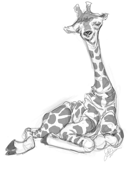 510x658 The Best How To Draw Giraffe Ideas On Easy Giraffe