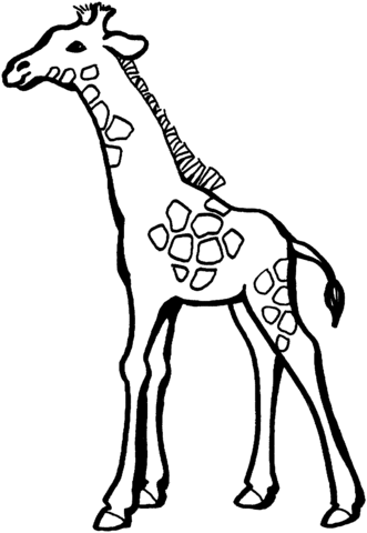 331x480 Baby Giraffe Coloring Page Free Printable Coloring Pages