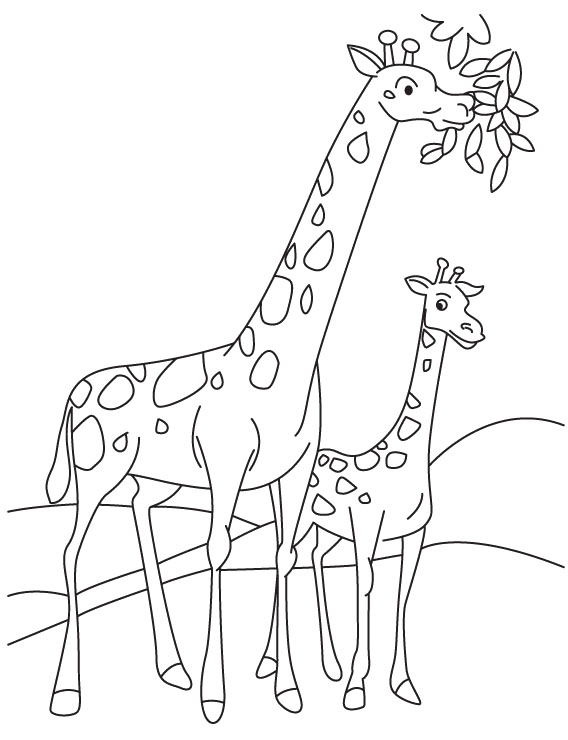 568x740 Giraffe Coloring Pages 360coloringpages