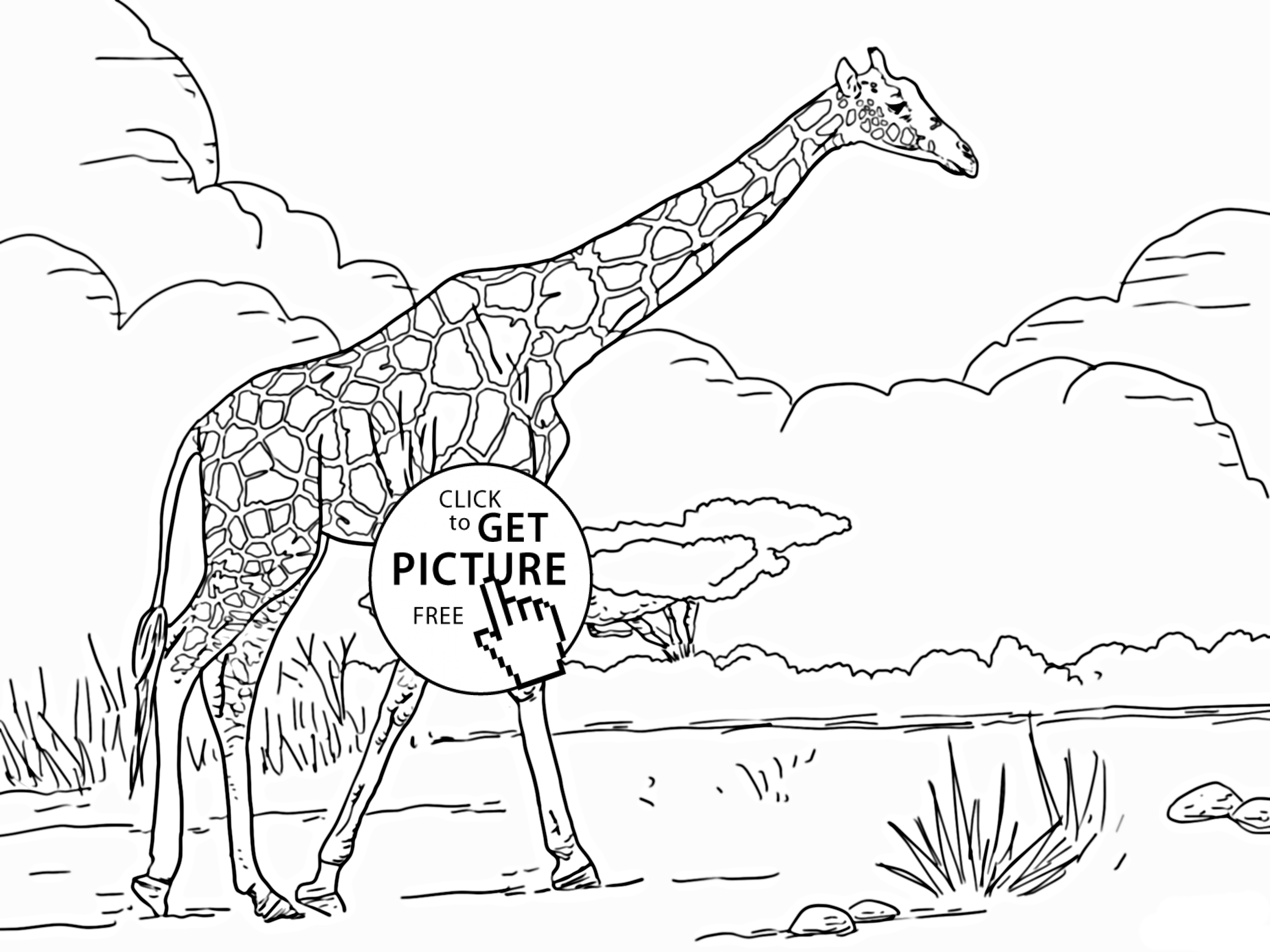 2080x1560 Giraffe Animal Coloring Page For Kids, Animal Coloring Pages