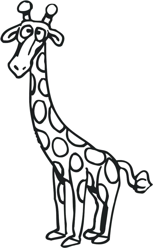 624x1010 Coloring Pages Giraffe