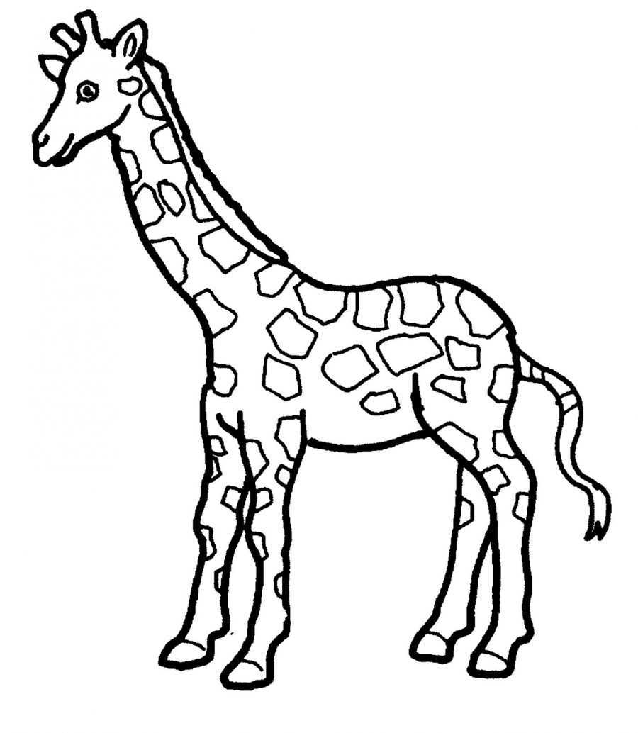 900x1034 Giraffe Coloring Page 01 Church Crafts Giraffe