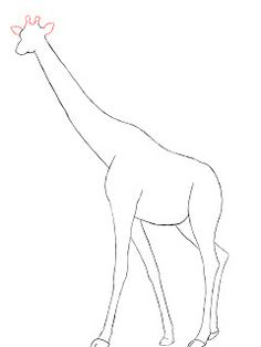 236x314 Drawn Giraffe Side View