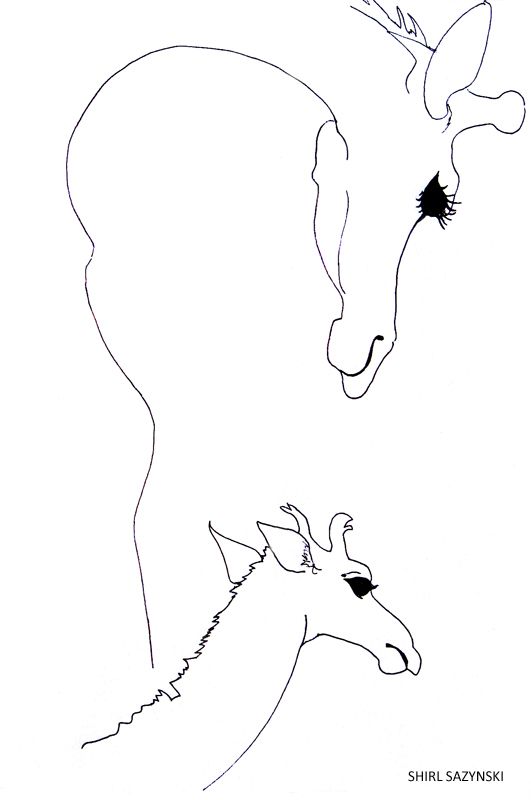 531x800 15 Best Drawings Images On Giraffes, Drawings Ofnd