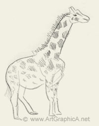 200x255 Learn How To Sketch Animals
