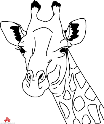 351x419 Giraffe Outline Drawing