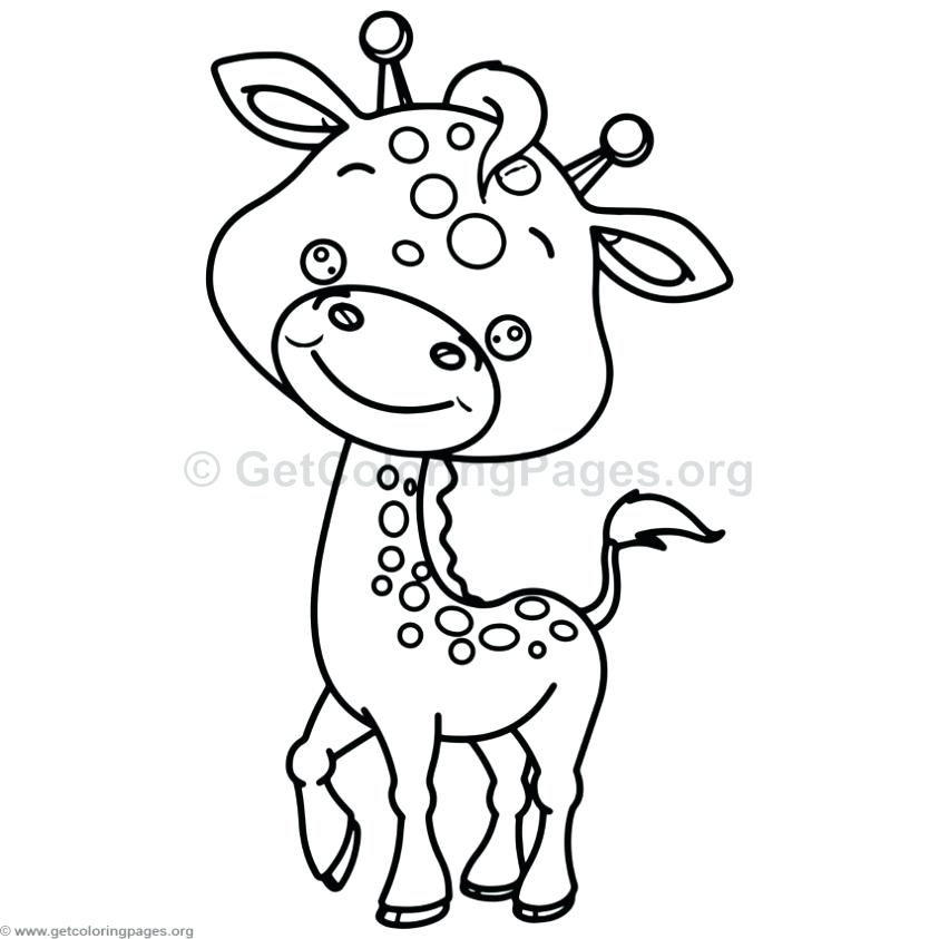 843x843 Giraffe Animal Coloring Pages Giraffe Animal Coloring Pages Simple