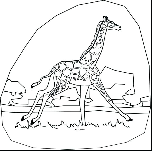 618x613 Giraffe Coloring Pages Printable Giraffe Coloring Pages Alphabet