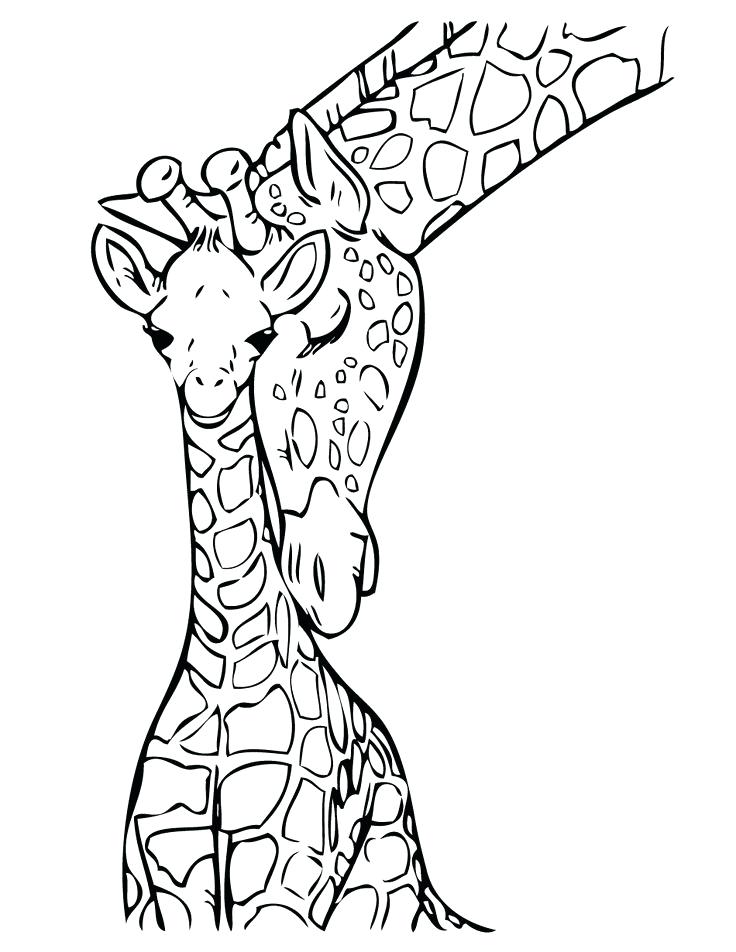 736x952 Giraffe Color Page Baby Giraffe Coloring Page Free Printable