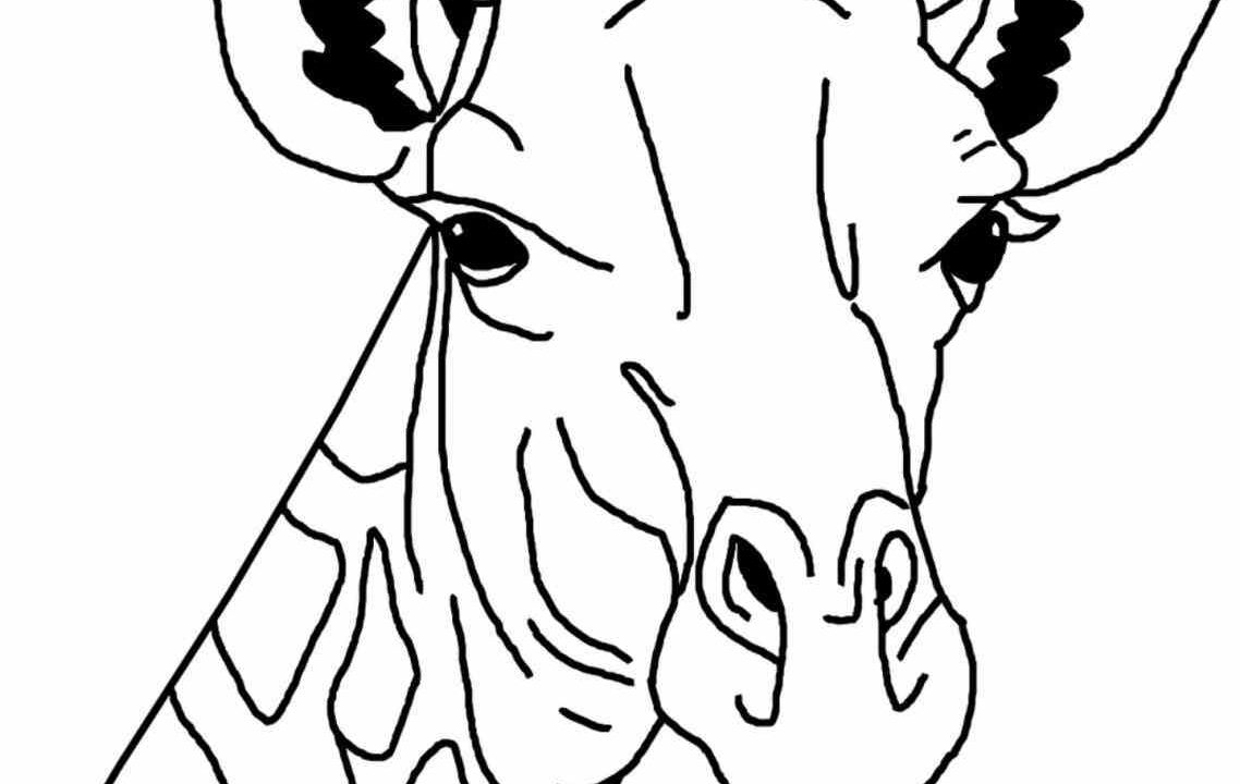 1138x720 Giraffe Coloring Pages Giraffe Pictures To Colour And Print