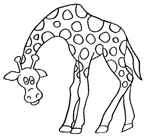 610x573 Giraffe For Coloring Cartoon Giraffe For Coloring Book Giraffe