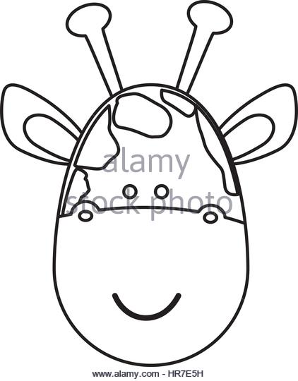 422x540 Giraffe Head Black And White Stock Photos Amp Images