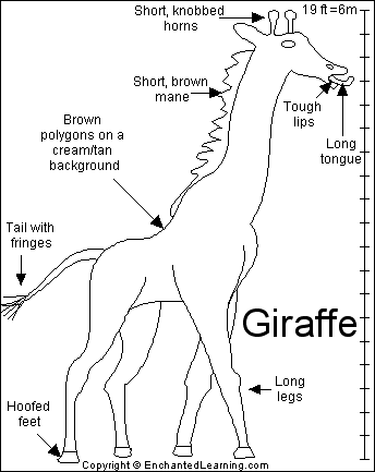 344x433 Giraffe Printout