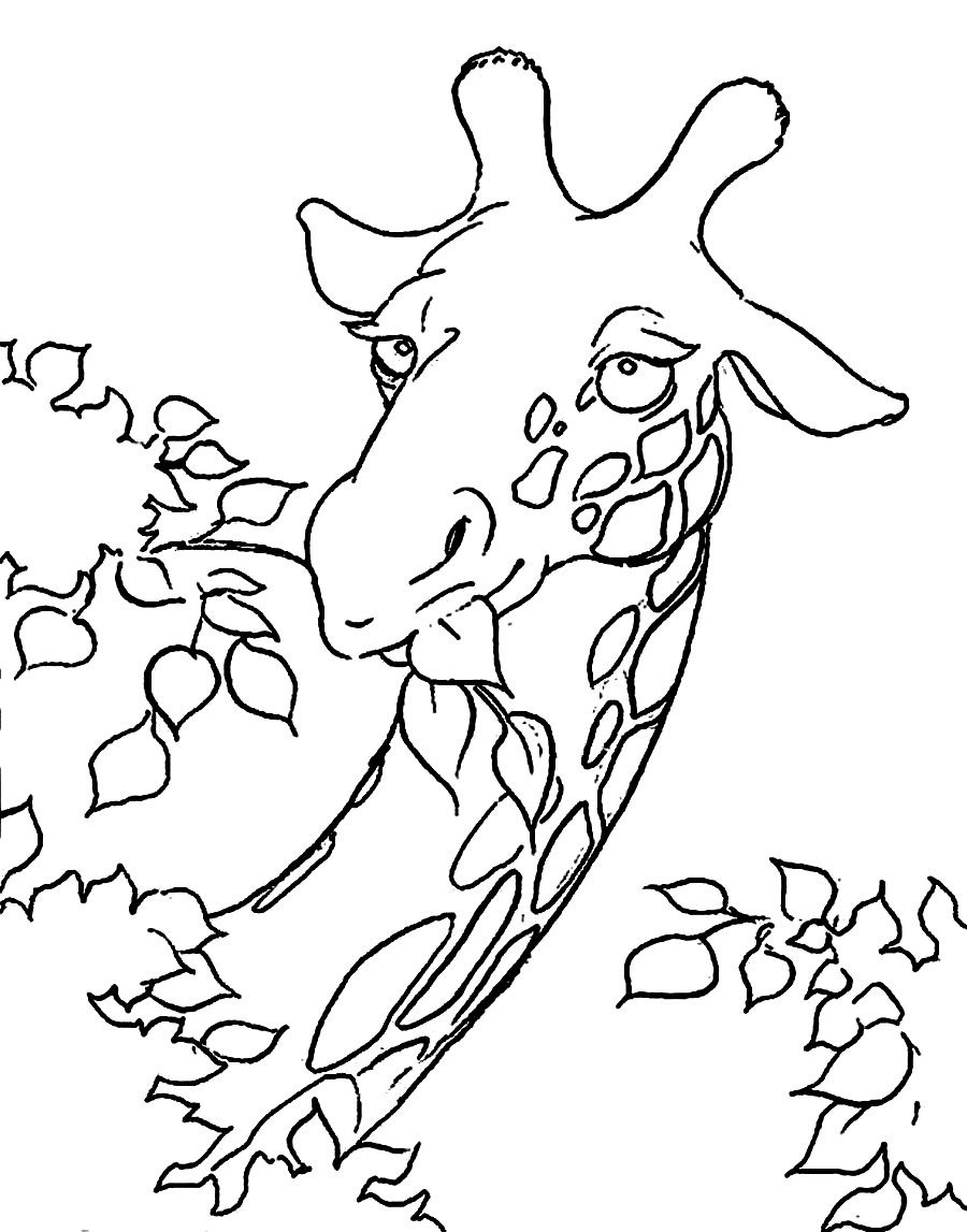 900x1147 Giraffe Coloring Pages