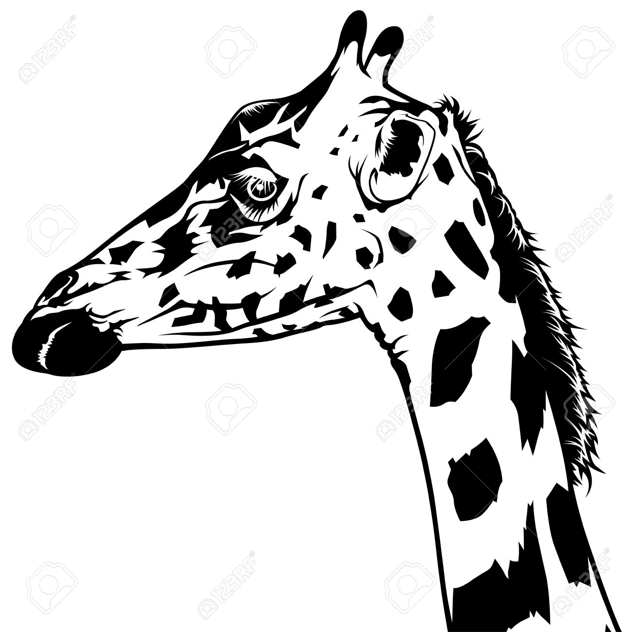 1300x1299 Giraffe Head Drawing