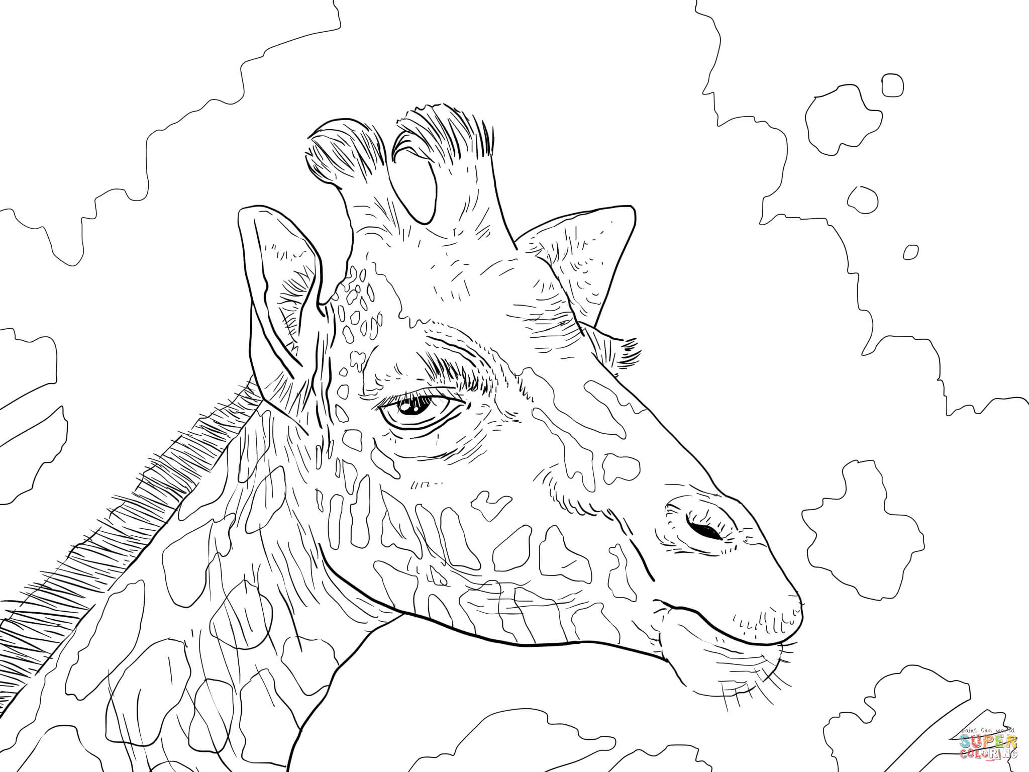 2048x1536 Rothschild Giraffe Head Coloring Page Free Printable Coloring Pages