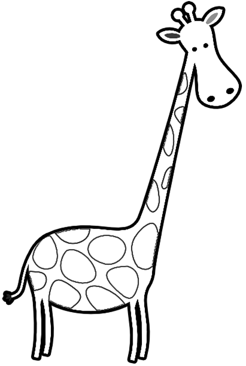484x720 With A Small Giraffe Head Giraffes Giraffe