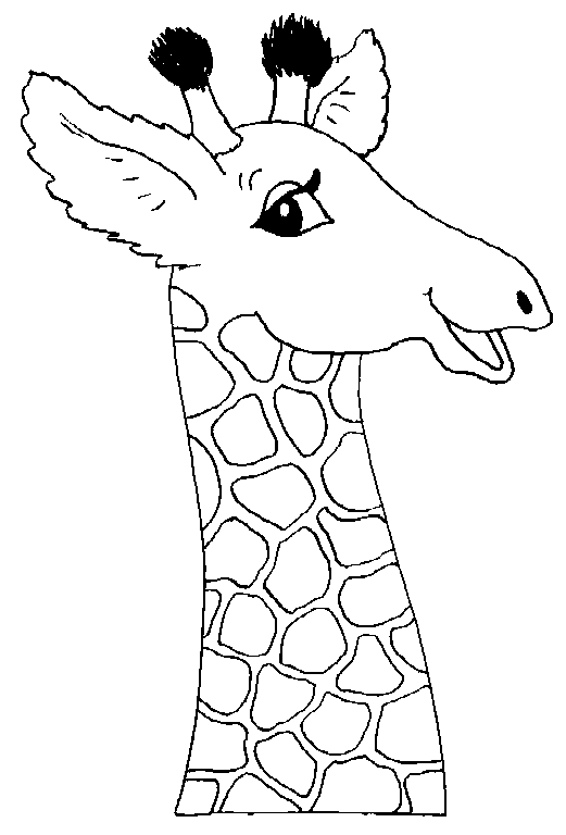 521x768 Coloring Giraffe Head Picture
