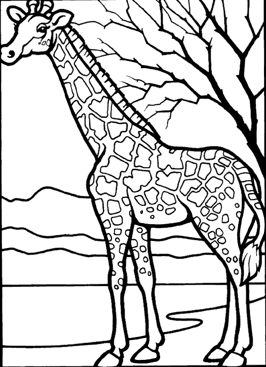 525x722 Coloring Giraffe And Tree Picture