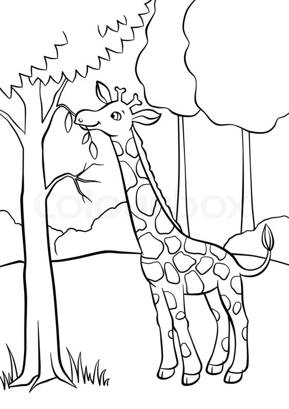 566x800 Drawn Giraffe Drinking Water