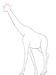 240x320 How To Draw A Giraffe Giraffe Drawing, Giraffe And Drawings