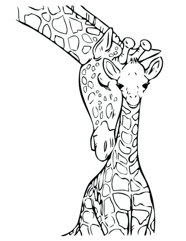 618x800 Baby Giraffe Coloring Pages Also Download Free Baby Giraffe