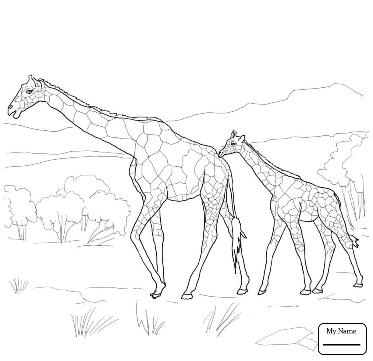 1224x1183 Coloring Pages For Kids Cartoon Giraffe Mammals Giraffes