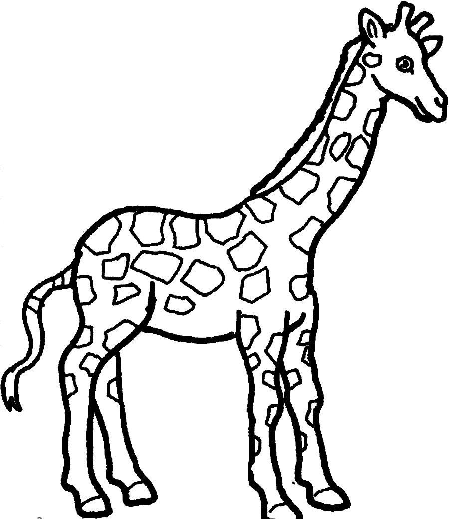 900x1039 Coloring Page Giraffe Free New Free Coloring Pages Giraffe Drawing