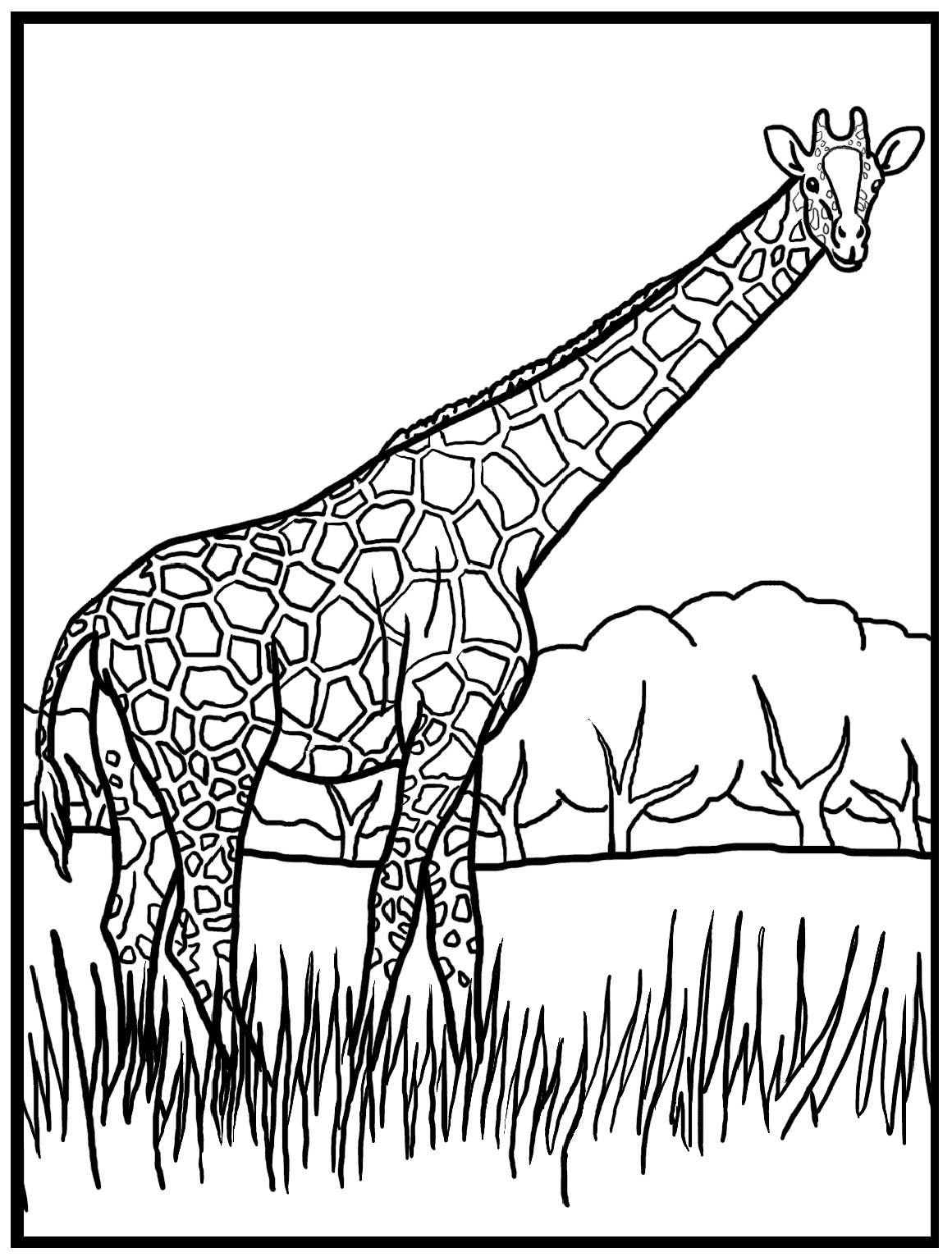 1160x1532 Drawn Giraffe Coloring Page