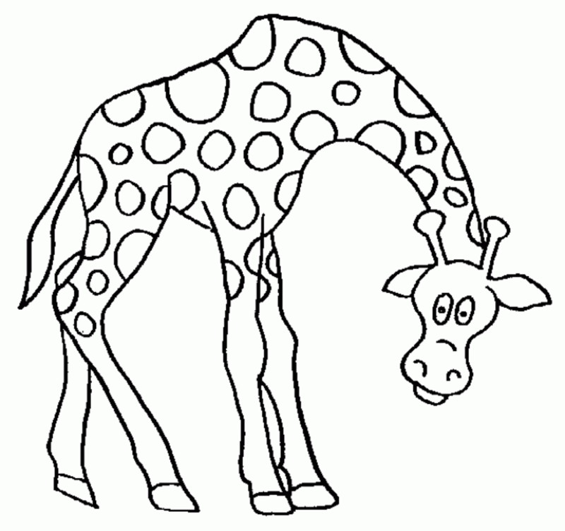 800x752 Giraffe Coloring Book 450523