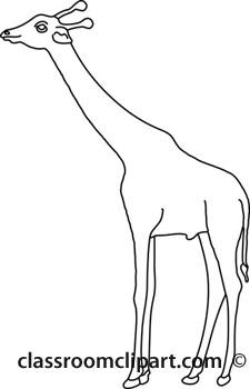 225x350 Giraffe Clipart Giraffe Outline