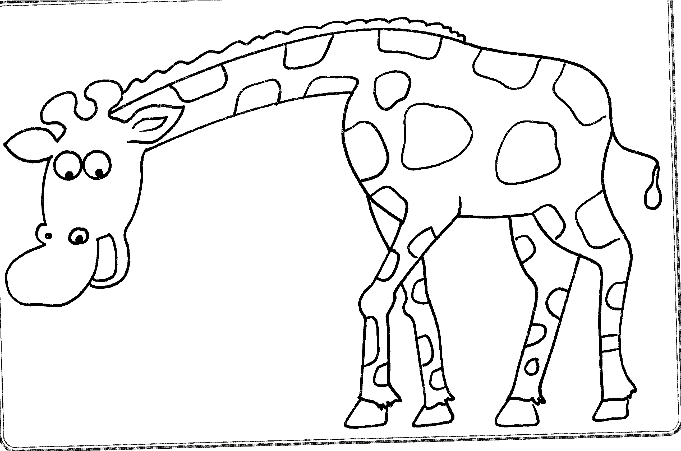 2576x1707 Best Of African Animal Giraffe Coloring Pages