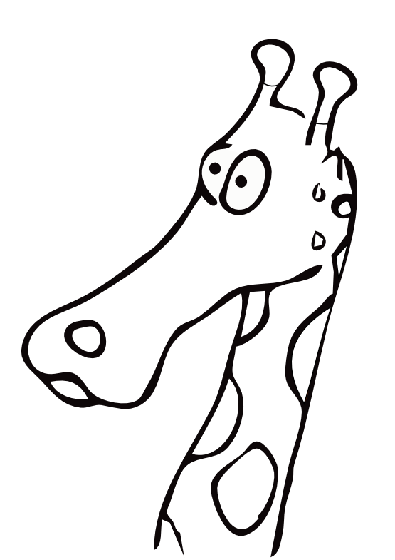 555x785 Giraffe