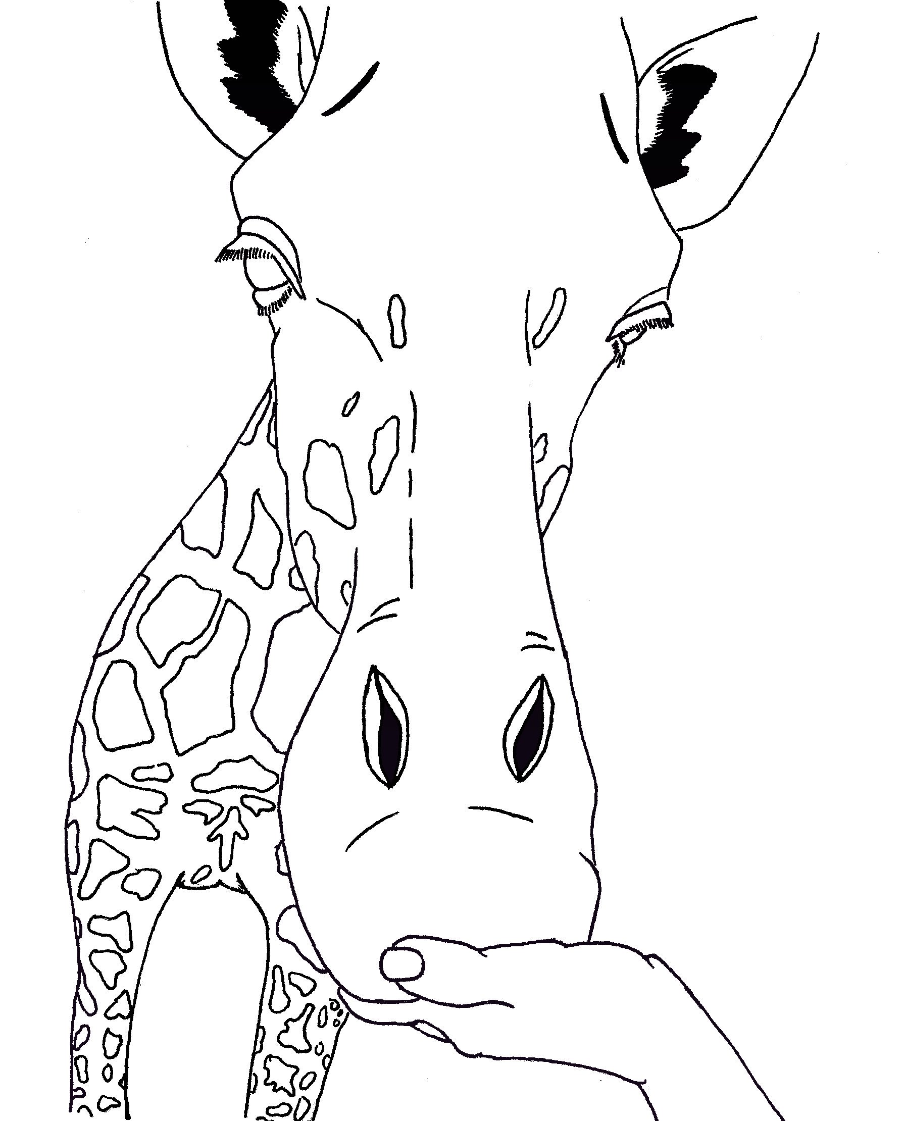 1790x2220 Cute Giraffe Coloring Pages Face Cute Puppy' Coloring Pages