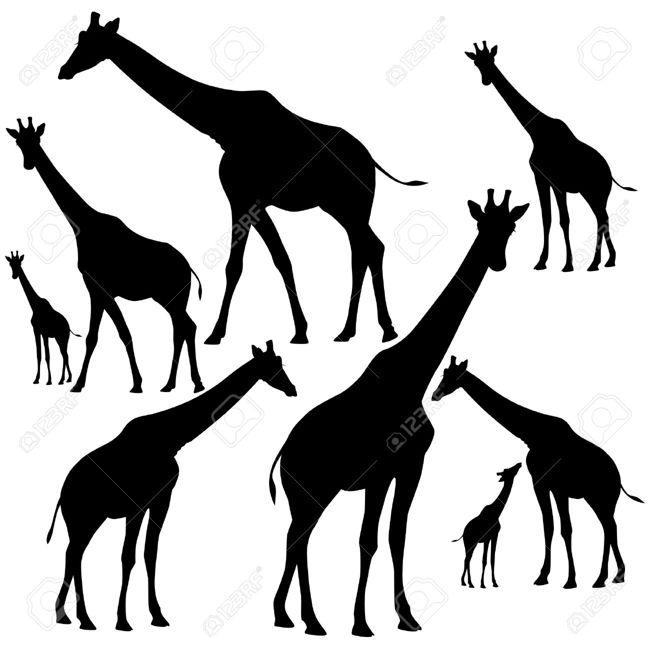 1300x1300 Set Of Fine Giraffes Silhouettes