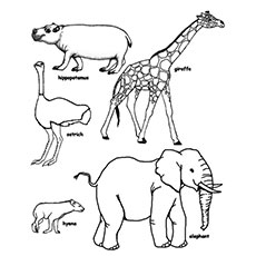 230x230 Top 25 Free Printable Wild Animals Coloring Pages Online