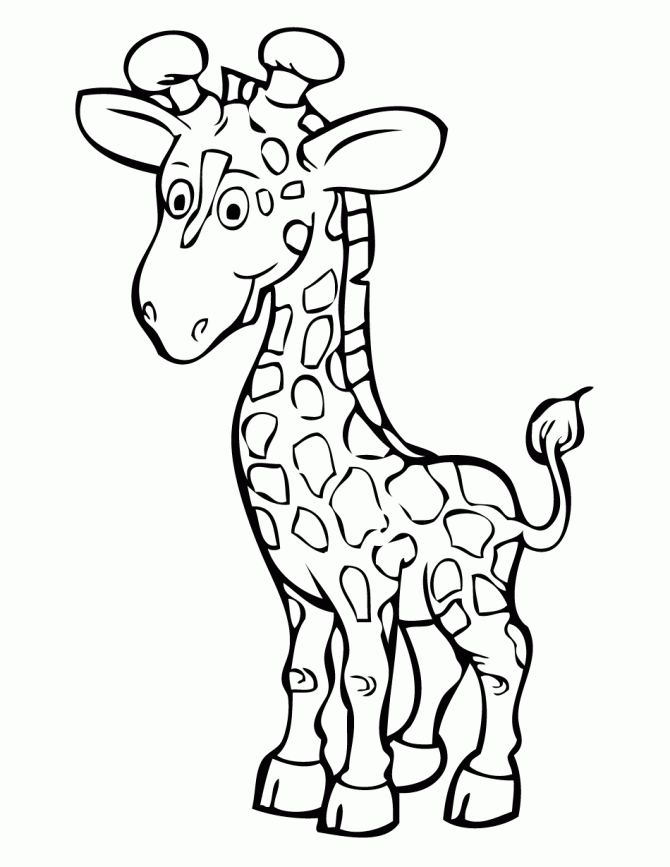 670x867 Drawn Giraffe Coloring Page