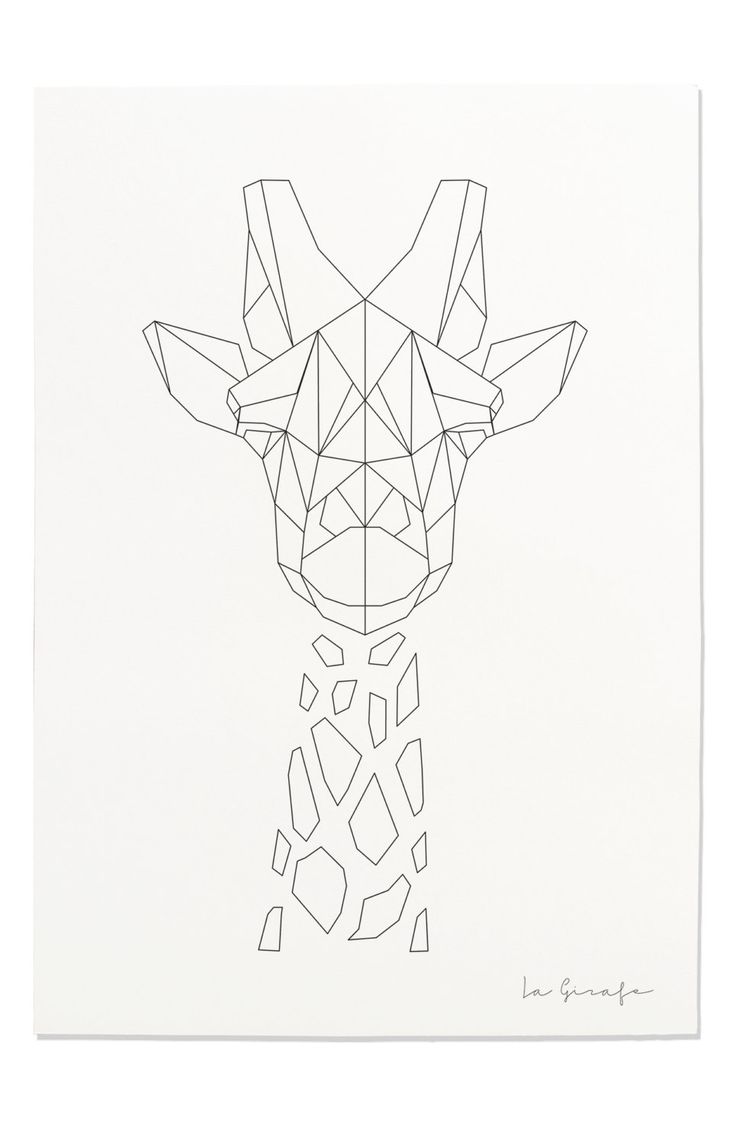 736x1144 Drawn Line Art Geometric