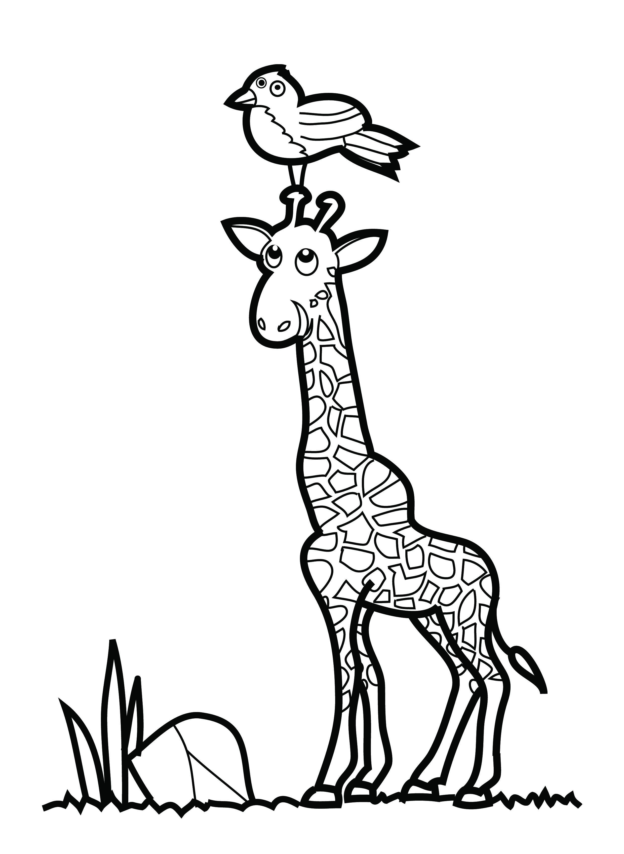 2480x3393 Free Printable Giraffe Coloring Pages For Kids