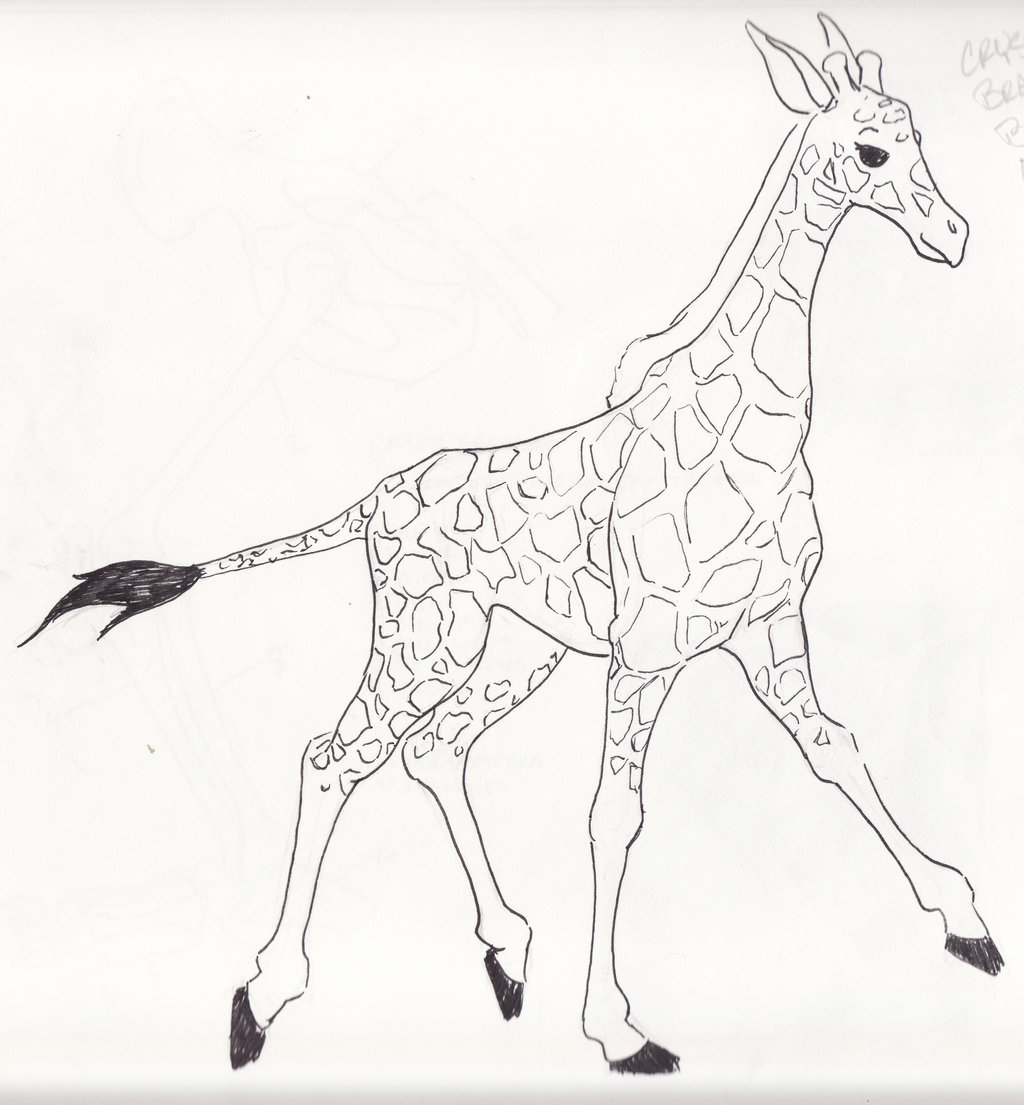1024x1105 Giraffe Sketch Drawing