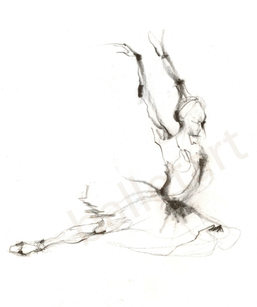 856x1024 Pencil Drawing Wall Art Canvas Fine Art Print