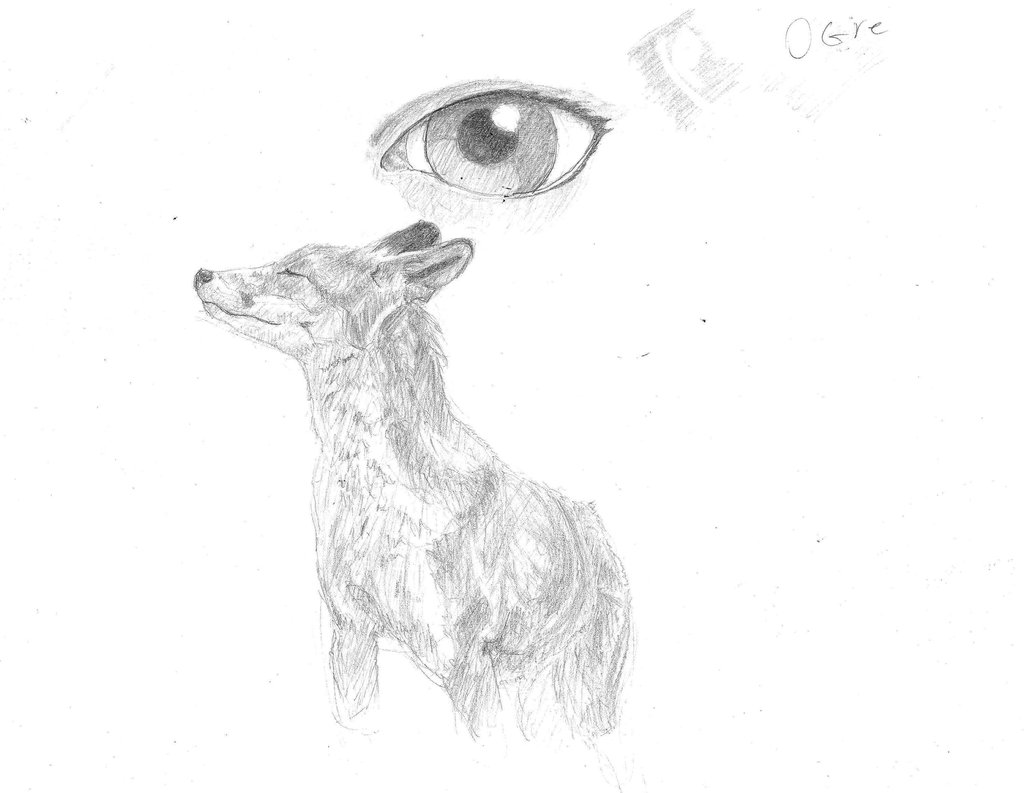 1024x793 Fox By Pencilspecter