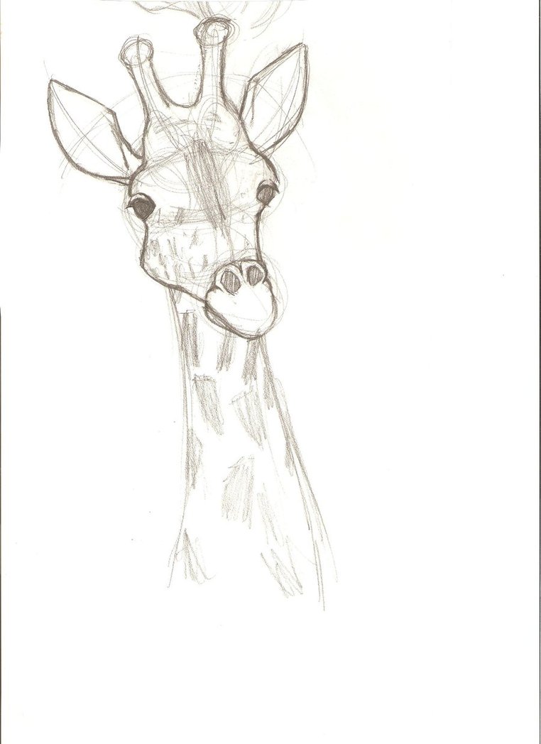 762x1048 Step 10 Another Important Step Is To Shade Your Sketch Shading Is