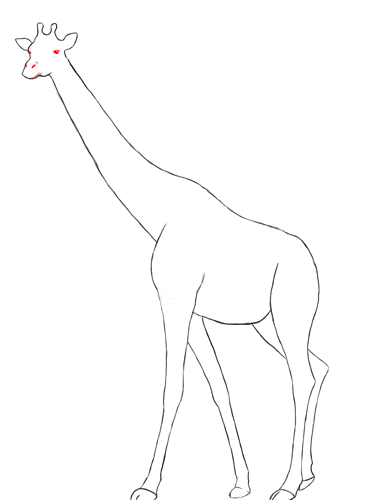 1200x1600 Drawing Of A Giraffe How To Draw A Giraffe