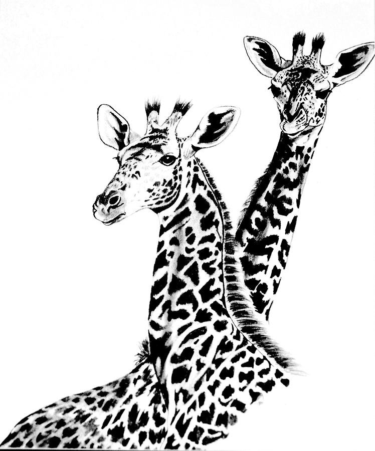 748x900 Giraffes Drawing By Cheryl Poland