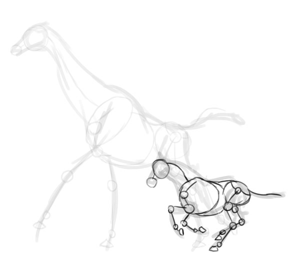 600x518 How To Draw Animals Zebras And Giraffes