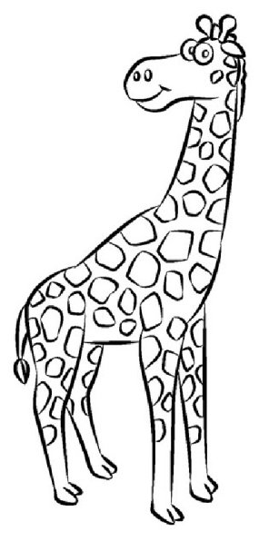 285x596 How To Draw A Giraffe Howstuffworks