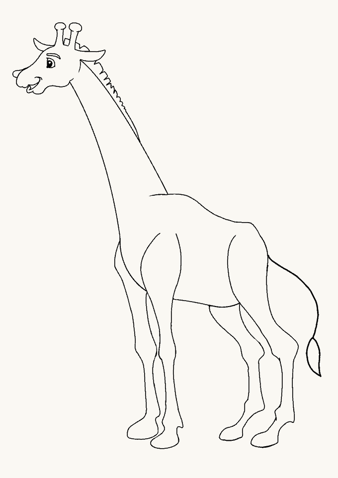 680x962 How To Draw A Giraffe In A Few Easy Steps Easy Drawing Guides