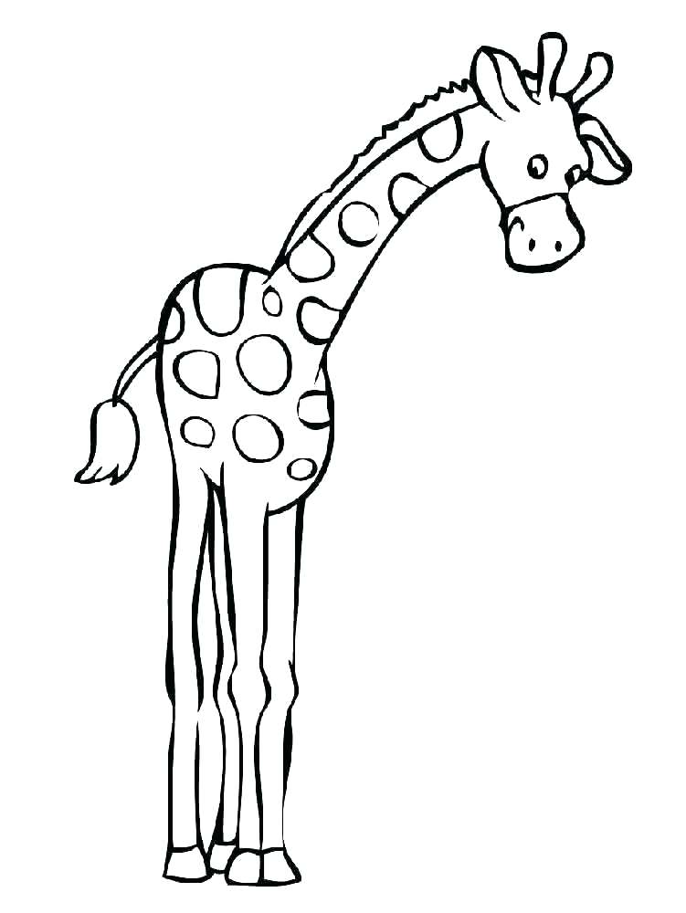 751x1000 Coloring Pages Of Giraffes Giraffe And Calf Coloring Page Coloring