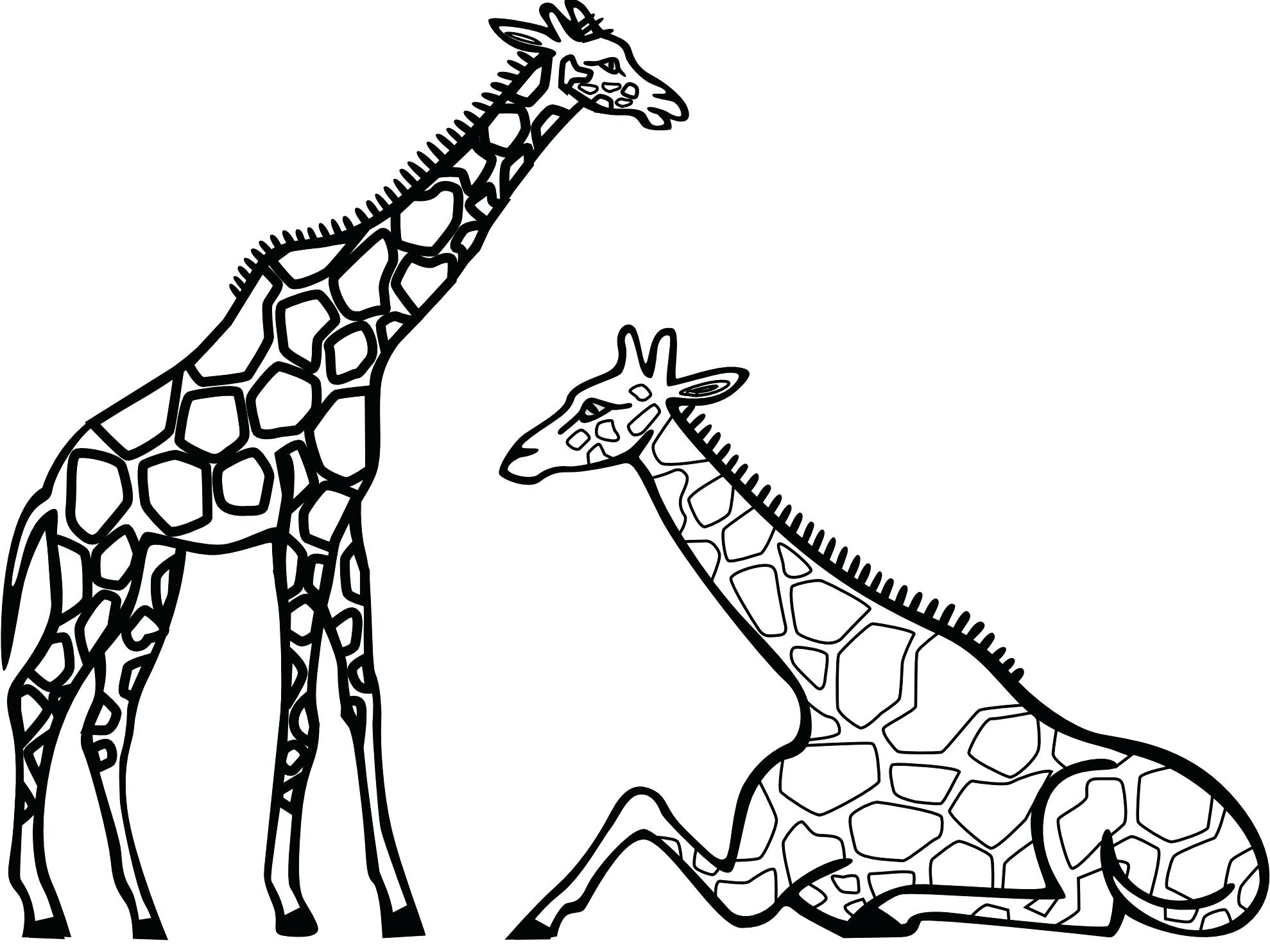 1979x1483 Coloring Outstanding Printable Pictures Of Giraffes. Printable